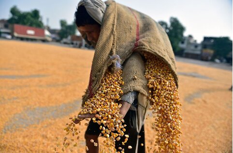 特朗普政府取消发布年度饥饿调查 美国舆论质疑声四起