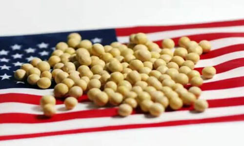 美国或失1600万吨大豆订单