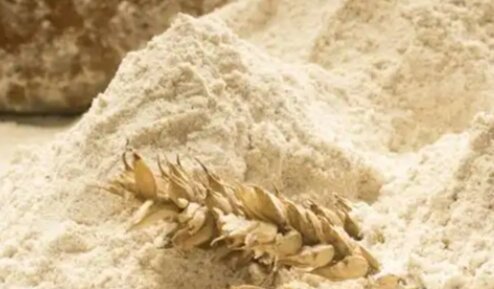 俄媒：俄罗斯向中国发运首批4吨重黑麦粉